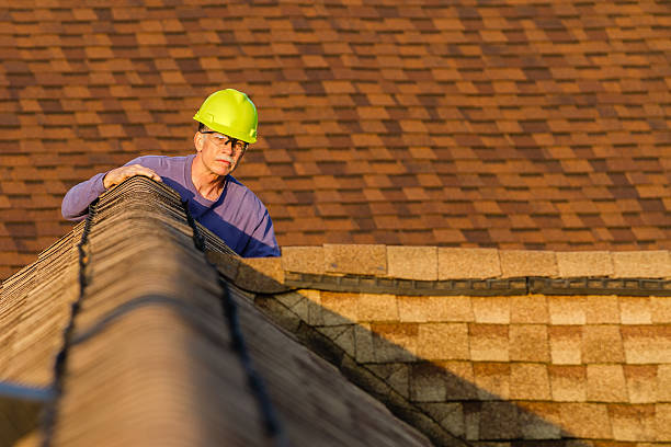 Roof Gutter Cleaning in Pico Rivera, CA